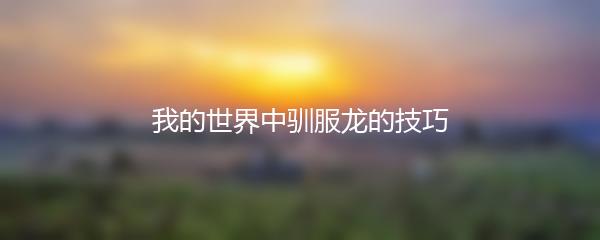 我的世界中驯服龙的技巧