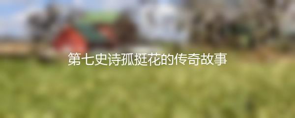第七史诗孤挺花的传奇故事
