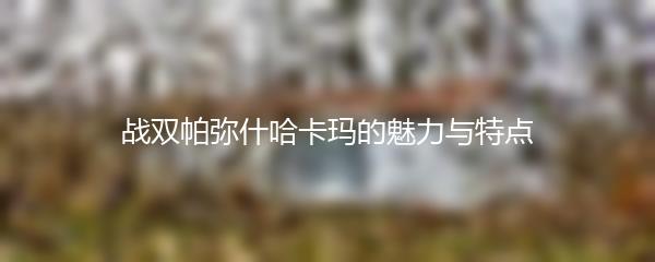 战双帕弥什哈卡玛的魅力与特点