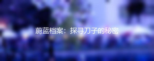 蔚蓝档案：探寻刀子的秘密