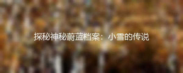 探秘神秘蔚蓝档案：小雪的传说