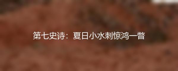 第七史诗：夏日小水刺惊鸿一瞥