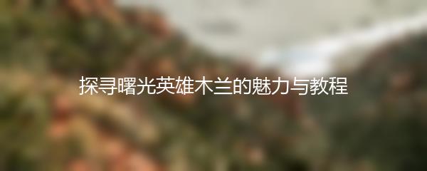 探寻曙光英雄木兰的魅力与教程