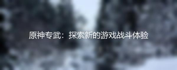 原神专武：探索新的游戏战斗体验