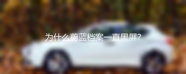 为什么蔚蓝档案一直黑屏？