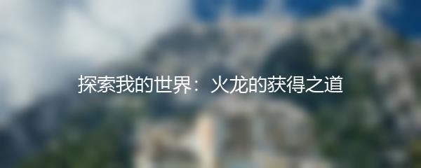 探索我的世界：火龙的获得之道
