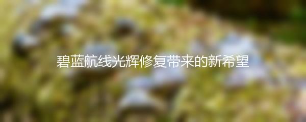 碧蓝航线光辉修复带来的新希望