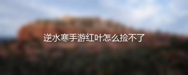 逆水寒手游红叶怎么捡不了