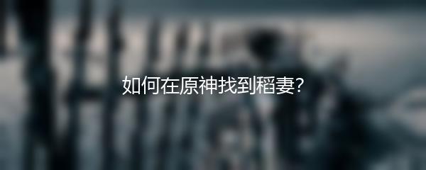 如何在原神找到稻妻？