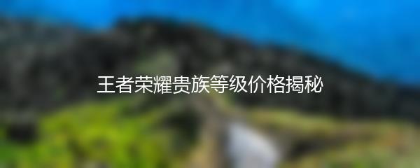 王者荣耀贵族等级价格揭秘