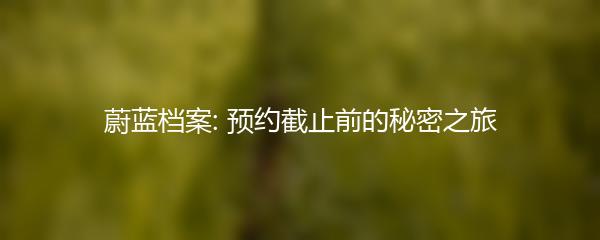 蔚蓝档案: 预约截止前的秘密之旅