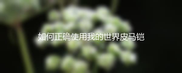 如何正确使用我的世界皮马铠