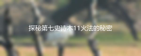 探秘第七史诗木11火法的秘密