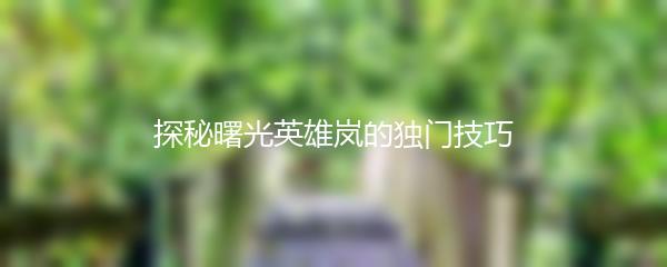 探秘曙光英雄岚的独门技巧