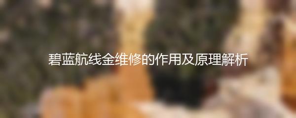 碧蓝航线金维修的作用及原理解析
