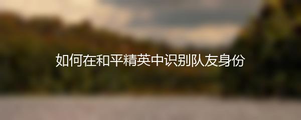 如何在和平精英中识别队友身份