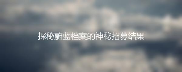 探秘蔚蓝档案的神秘招募结果