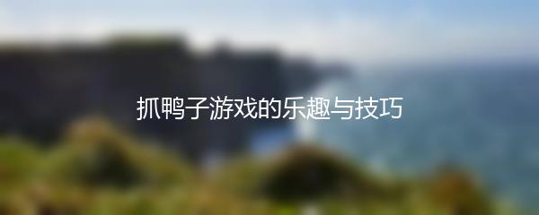 抓鸭子游戏的乐趣与技巧