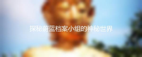 探秘蔚蓝档案小组的神秘世界