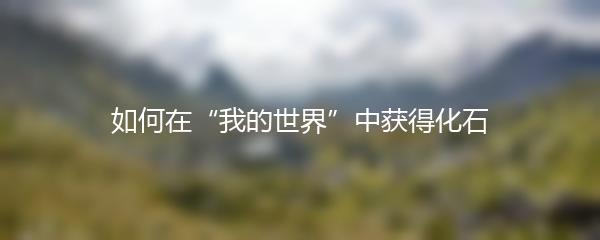 如何在“我的世界”中获得化石
