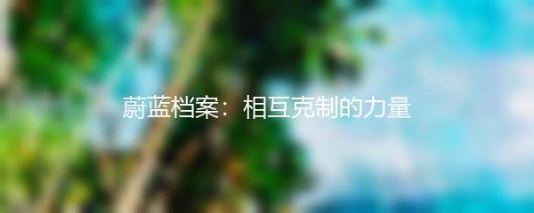 蔚蓝档案：相互克制的力量