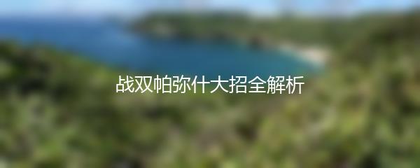 战双帕弥什大招全解析