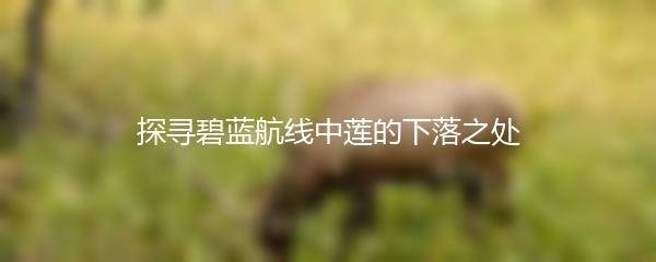 探寻碧蓝航线中莲的下落之处