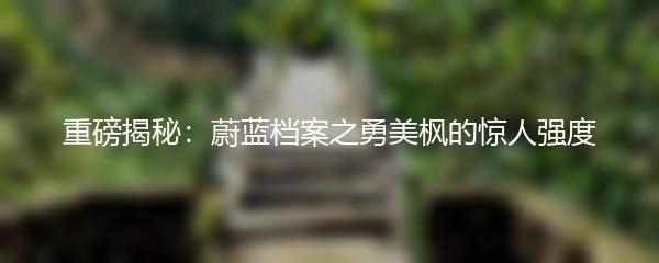 重磅揭秘：蔚蓝档案之勇美枫的惊人强度