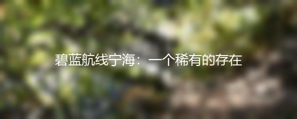 碧蓝航线宁海：一个稀有的存在