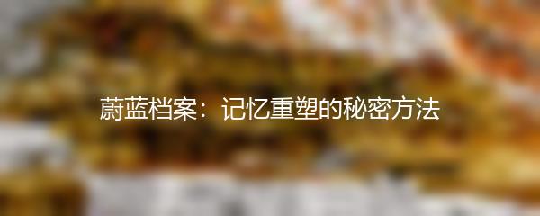 蔚蓝档案：记忆重塑的秘密方法