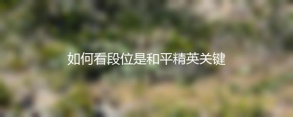 如何看段位是和平精英关键