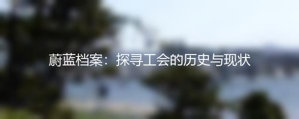 蔚蓝档案：探寻工会的历史与现状
