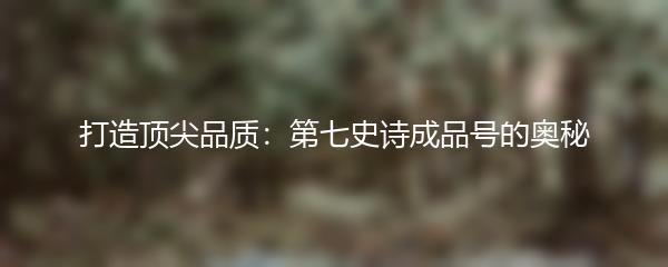 打造顶尖品质：第七史诗成品号的奥秘