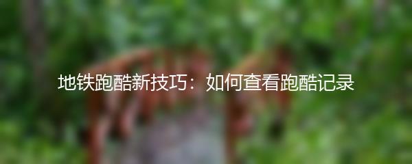 地铁跑酷新技巧：如何查看跑酷记录