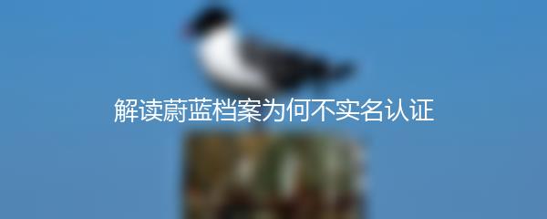 解读蔚蓝档案为何不实名认证