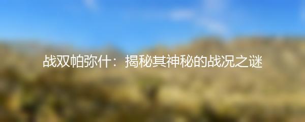 战双帕弥什：揭秘其神秘的战况之谜
