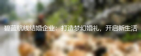 碧蓝航线结婚企业：打造梦幻婚礼，开启新生活
