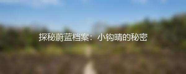 探秘蔚蓝档案：小钩晴的秘密