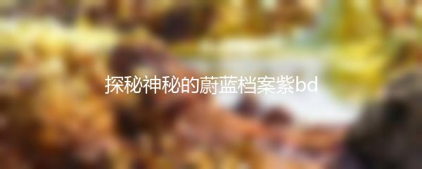 探秘神秘的蔚蓝档案紫bd