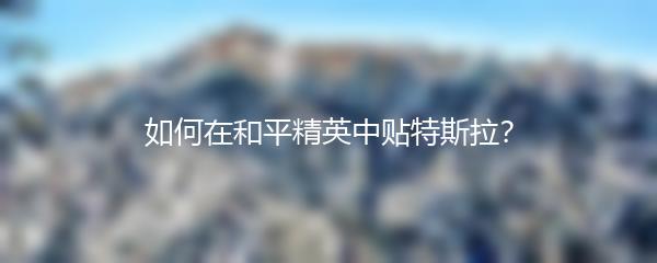 如何在和平精英中贴特斯拉？