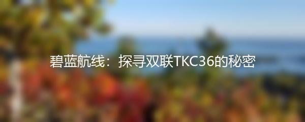 碧蓝航线：探寻双联TKC36的秘密