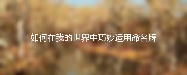 如何在我的世界中巧妙运用命名牌