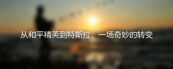 从和平精英到特斯拉：一场奇妙的转变