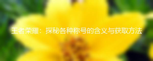 王者荣耀：探秘各种称号的含义与获取方法