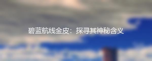 碧蓝航线金皮：探寻其神秘含义