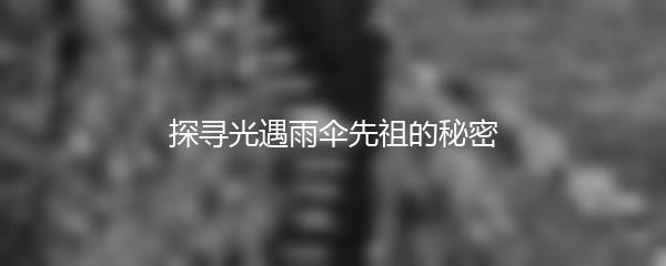 探寻光遇雨伞先祖的秘密