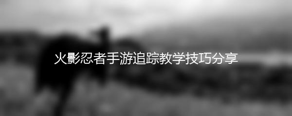 火影忍者手游追踪教学技巧分享