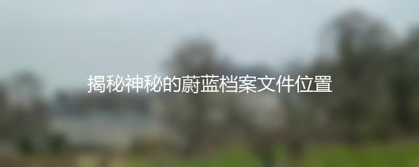 揭秘神秘的蔚蓝档案文件位置