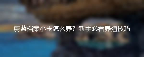 蔚蓝档案小玉怎么养？新手必看养殖技巧