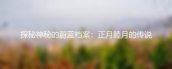 探秘神秘的蔚蓝档案：正月睦月的传说